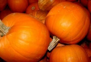 pumpkins-piled_2732605